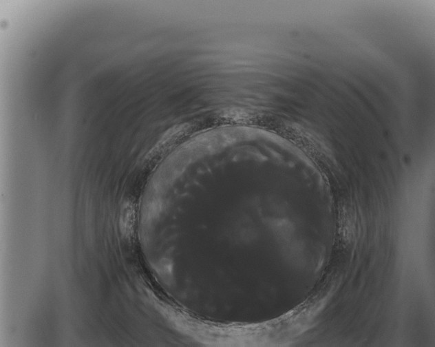 X0000086340036200704091215