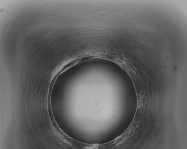 X0000086340052200704091214