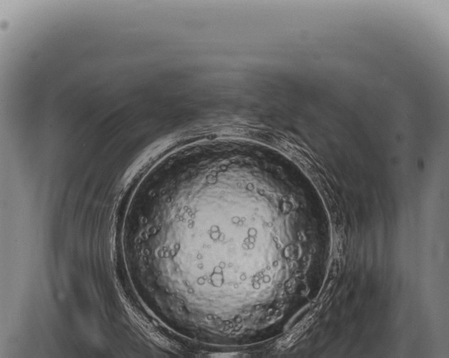 X0000086340054200704091214