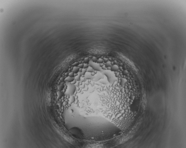 X0000086340065200704091215