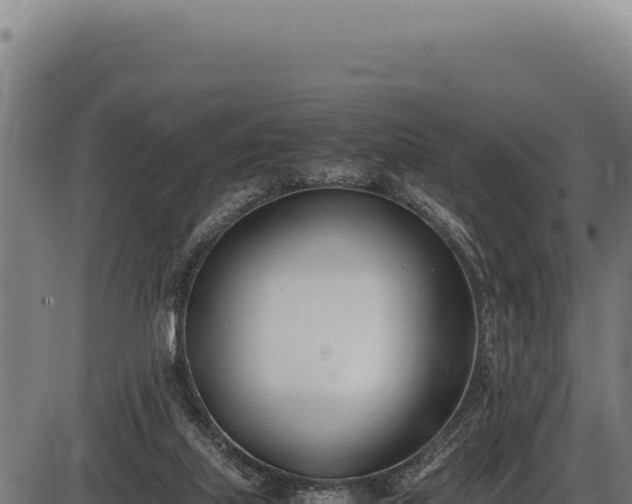 X0000086340067200704091215