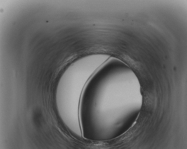 X0000086340072200704091215