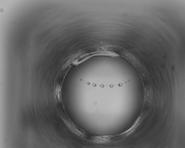 X0000086340094200704091215