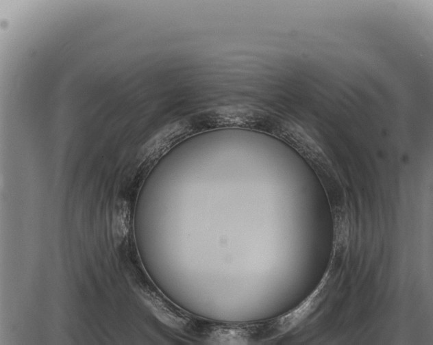 X0000086340174200704091213