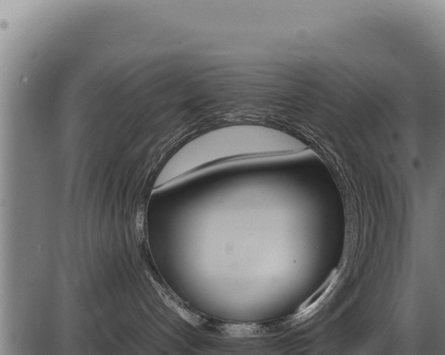 X0000086340192200704091214