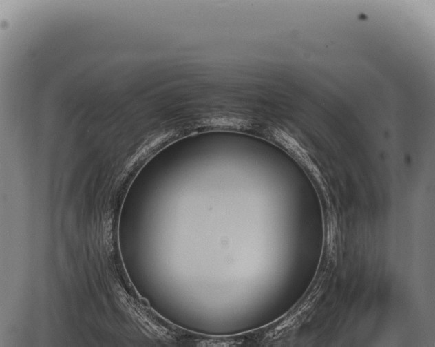 X0000086340249200704091211