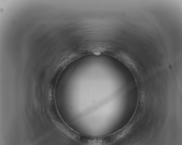 X0000086340362200704091210
