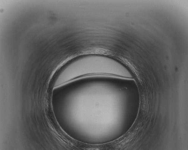 X0000086340392200704091209
