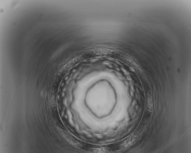X0000086340411200704091209