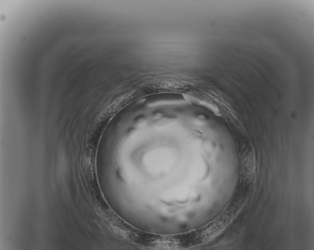 X0000086340415200704091209