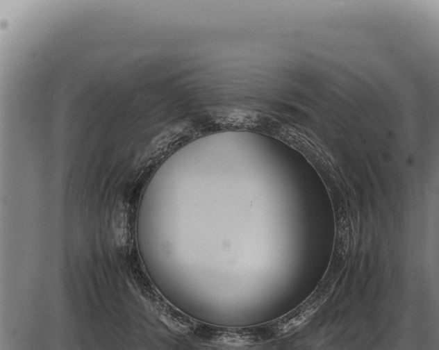 X0000086340416200704091209