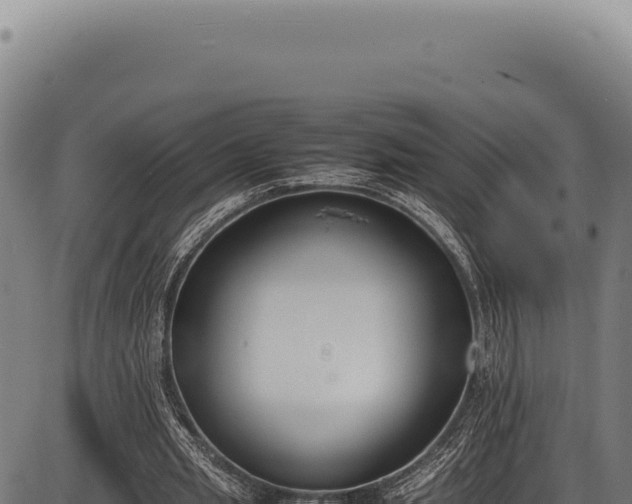 X0000086340437200704091208