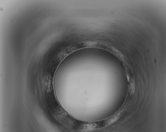 X0000086340525200704091207