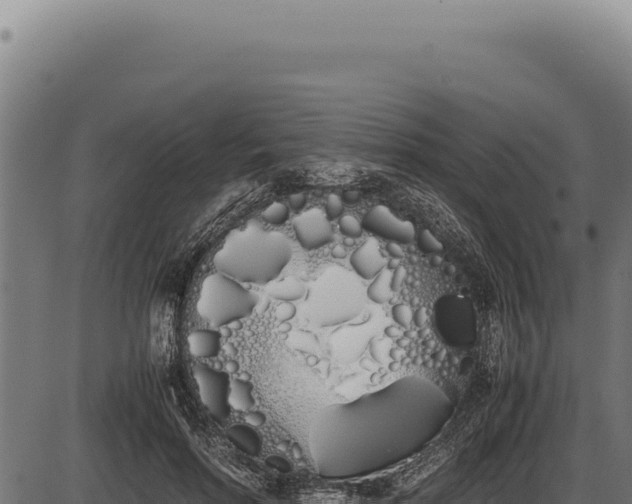 X0000086340598200704091206