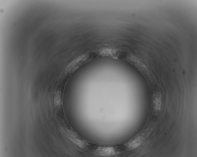 X0000086340665200704091205