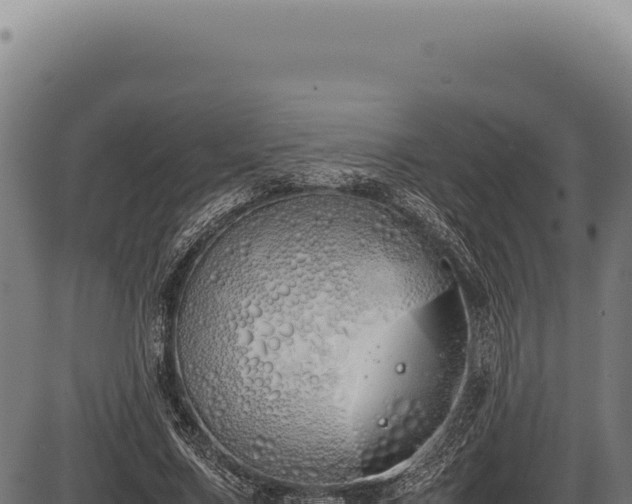 X0000086340683200704091205