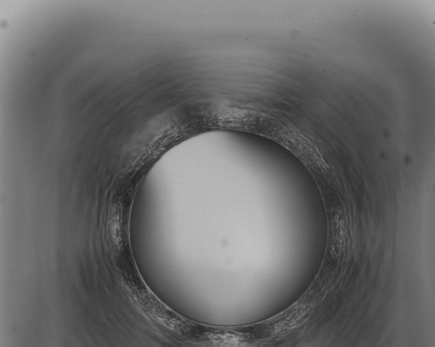 X0000086340698200704091204