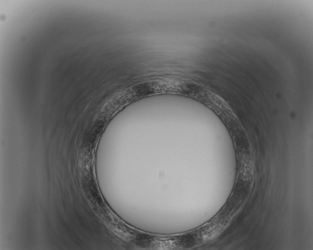 X0000086340701200704091204