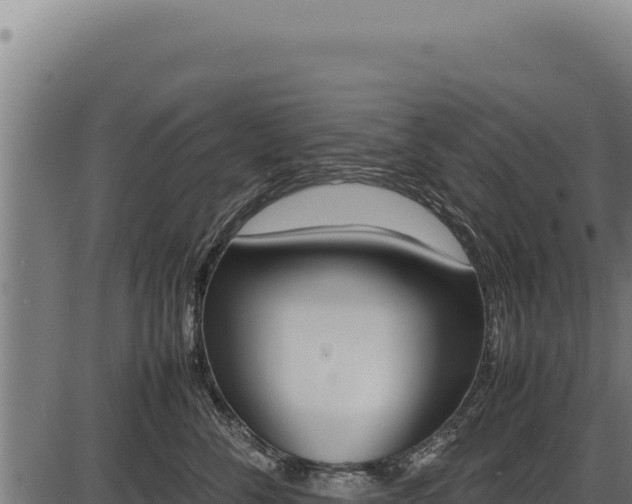 X0000086340716200704091204