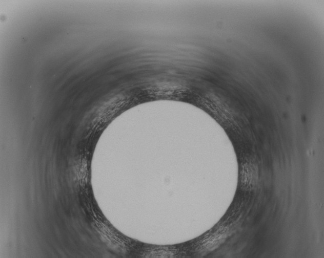 X0000086340820200704091201