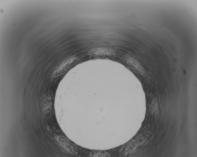 X0000086340824200704091202