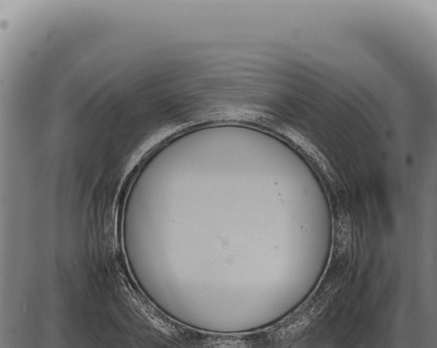 X0000086340886200704091201