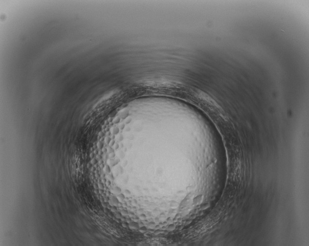 X0000086340966200704091200