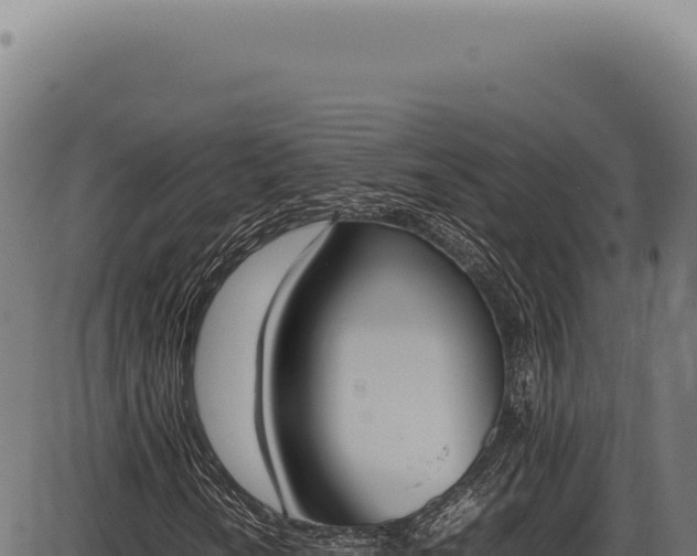 X0000086341010200704091158