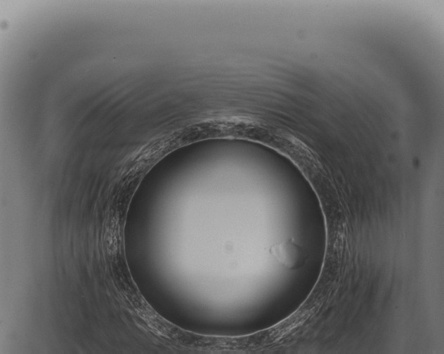 X0000086341014200704091158