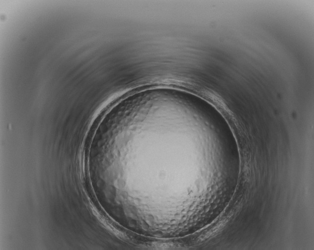 X0000086341032200704091158