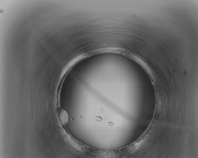 X0000086341050200704091159