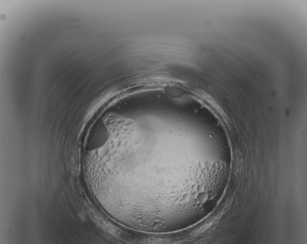X0000086341075200704091158