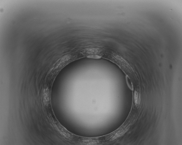 X0000086341107200704091157