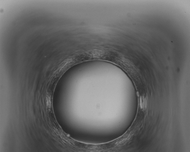 X0000086341155200704091156