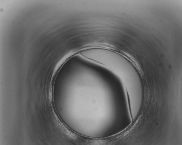 X0000086341188200704091156