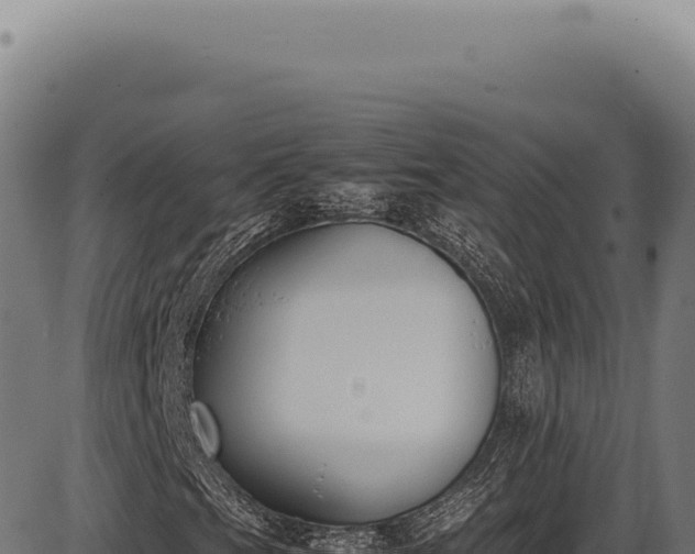 X0000086341201200704091155