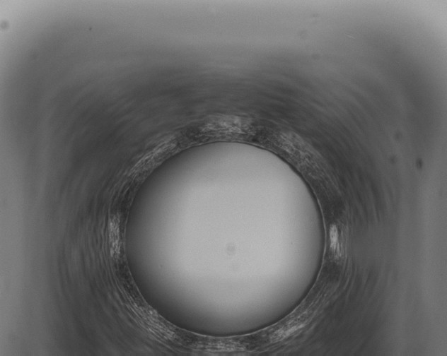 X0000086341203200704091155