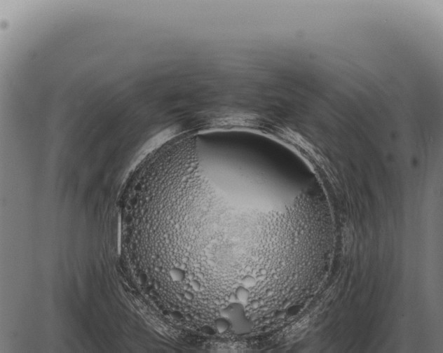 X0000086341219200704091155