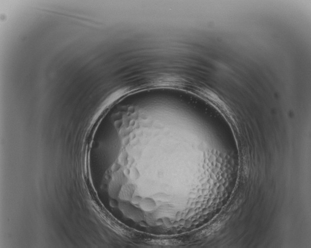 X0000086341227200704091155