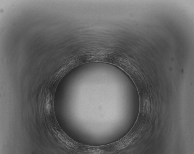 X0000086341250200704091155
