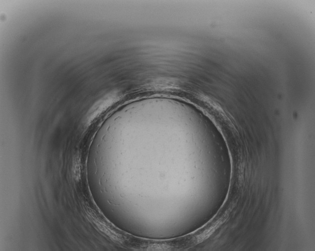 X0000086341306200704091153
