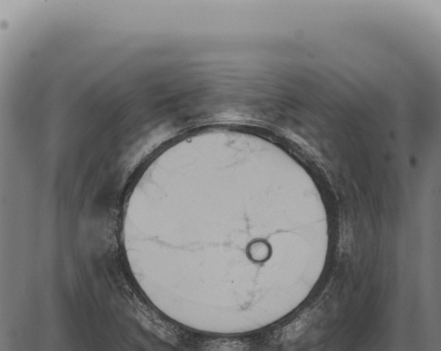 X0000086341314200704091154
