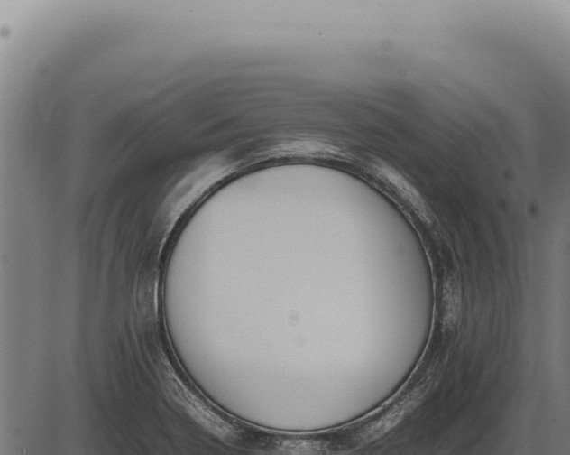 X0000086341322200704091154