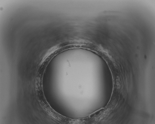 X0000086341352200704091153