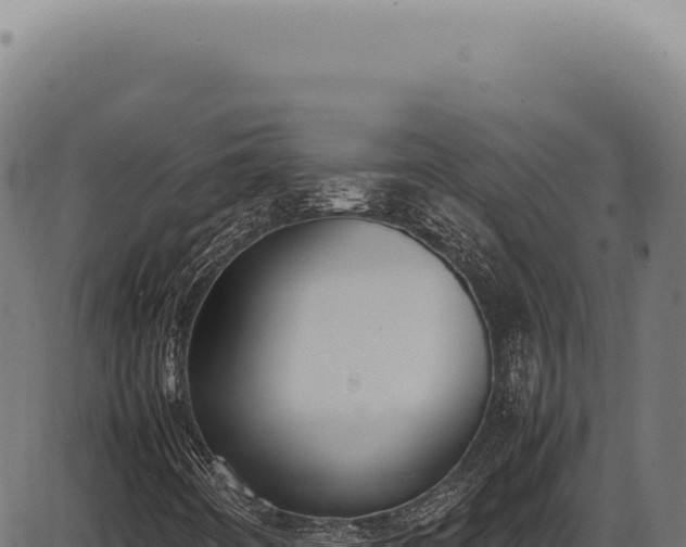 X0000086341442200704091152