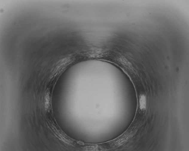 X0000086341444200704091152
