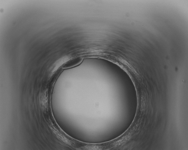 X0000086341450200704091152