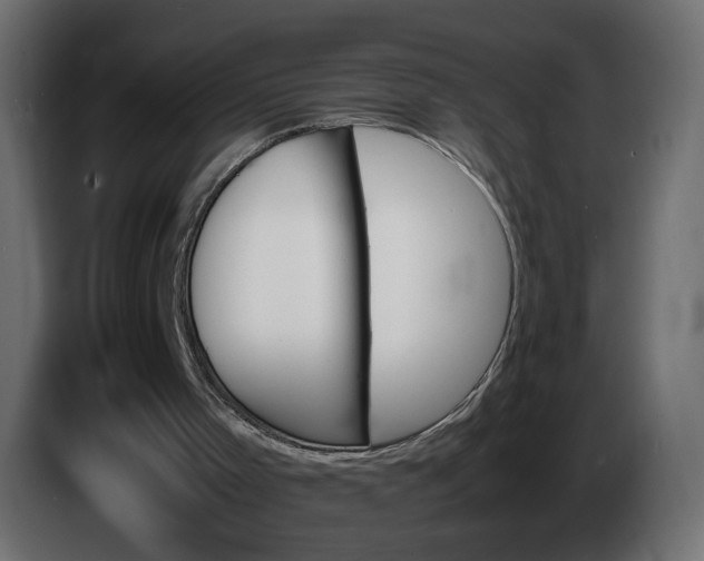 X0000086340001200704131754