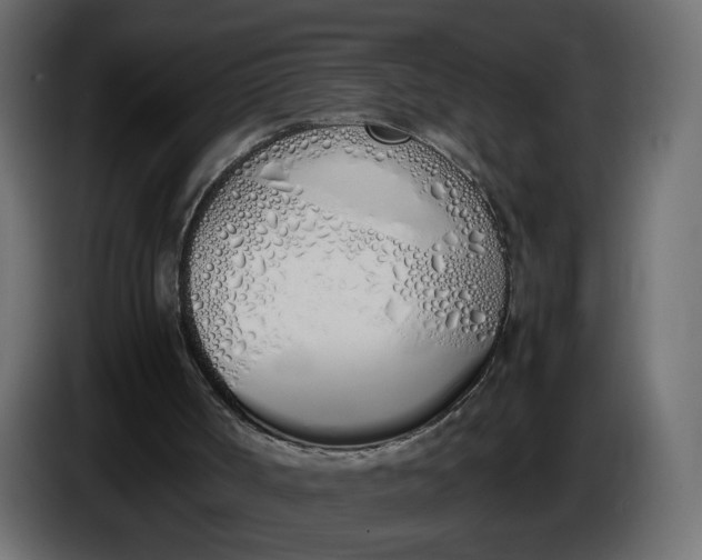X0000086340002200704131754