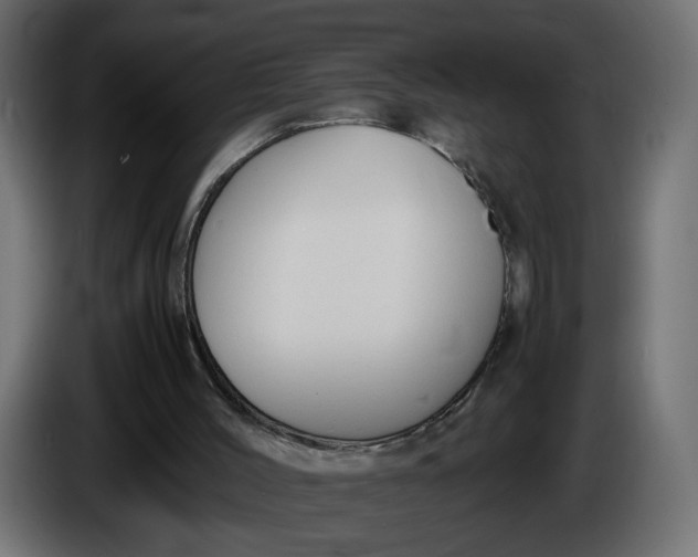 X0000086340004200704131754